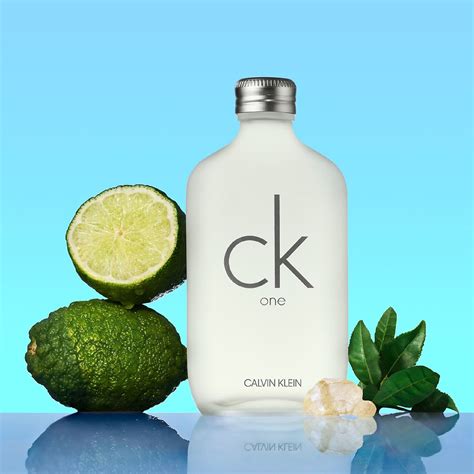 calvin klein ck one ingredients.